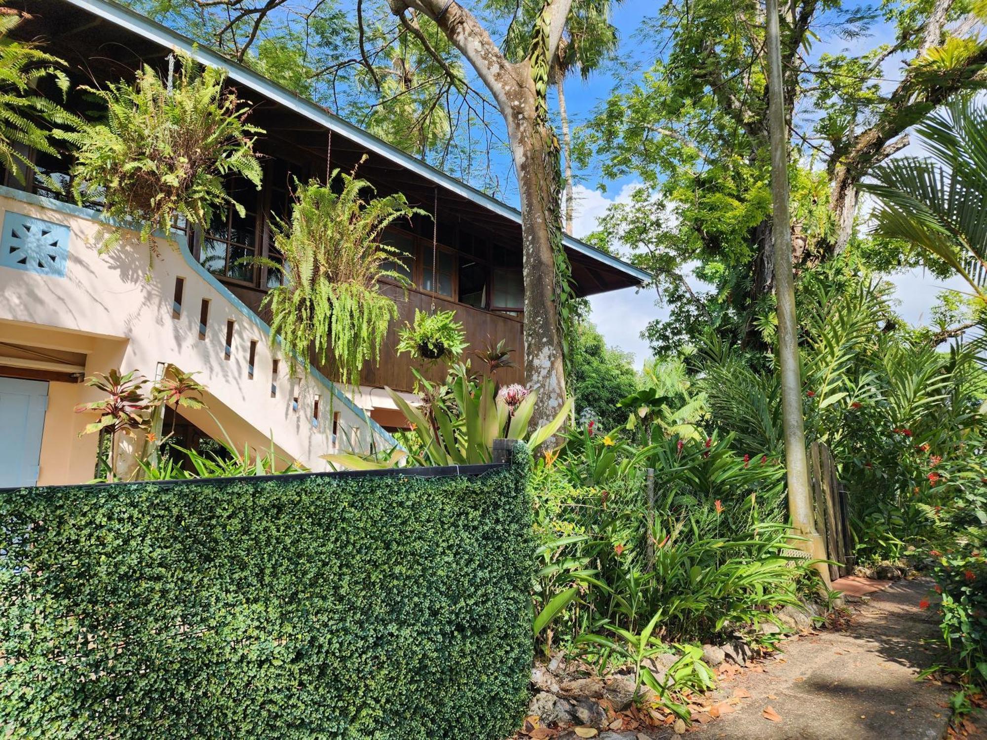 Gamboa Apartment Toucan Y Studio Neque Экстерьер фото